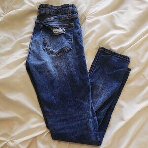 Daytrip Distressed Lynx Ankle Straight Jeans - Size 27